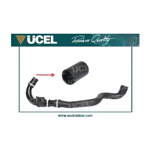 UCEL 15667