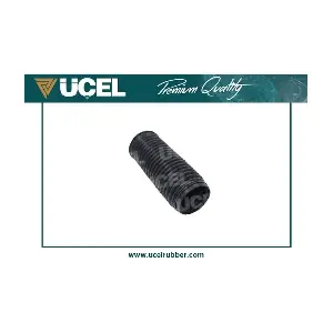UCEL 61363