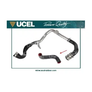 UCEL 16105