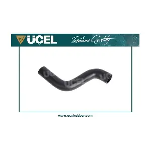 UCEL 65156
