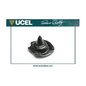 10663 UCEL