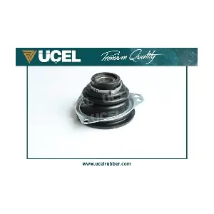 10836 UCEL