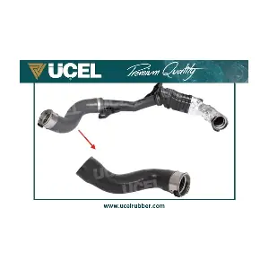 15154 UCEL