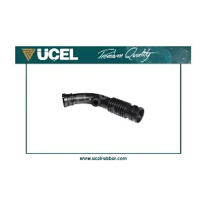 UCEL 15586