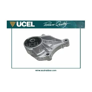 UCEL 91166