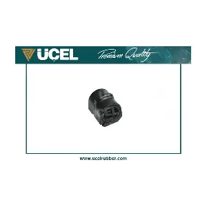 UCEL 20310