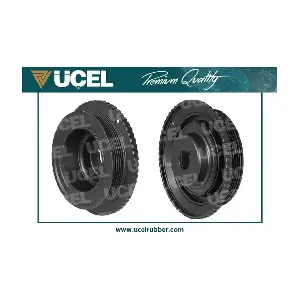 UCEL 3007