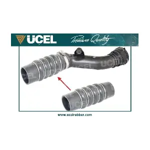 15675 UCEL