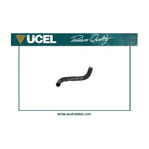 21255 UCEL