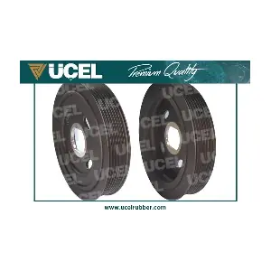 1013 UCEL