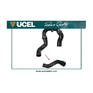 35656 UCEL