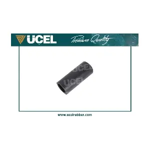UCEL 65385