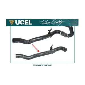 15684 UCEL