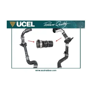 15161 UCEL