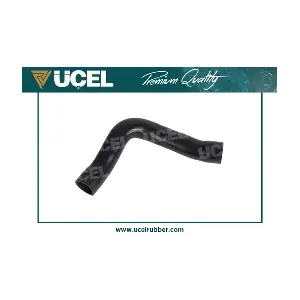 UCEL 65366
