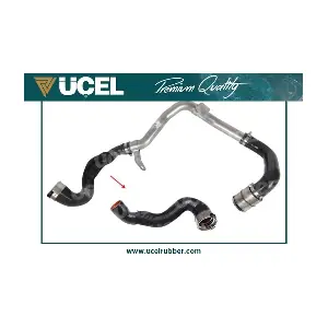 UCEL 16104