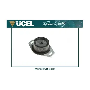 UCEL 41555