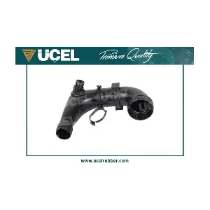 UCEL 35786