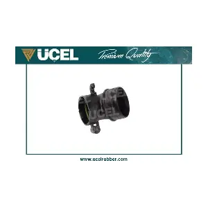 UCEL 65540