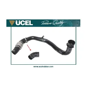 35811 UCEL