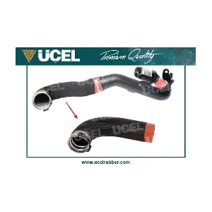 15198 UCEL