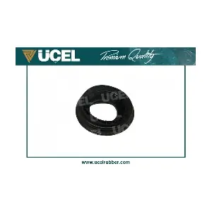 41806 UCEL