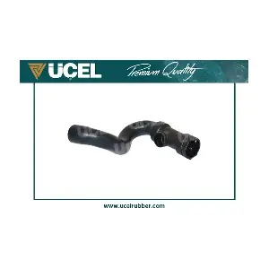 65420 UCEL
