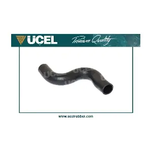 UCEL 52362