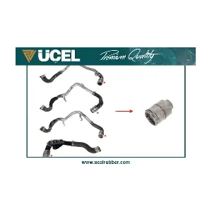 UCEL 16051