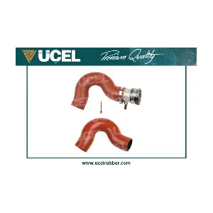 65551 UCEL
