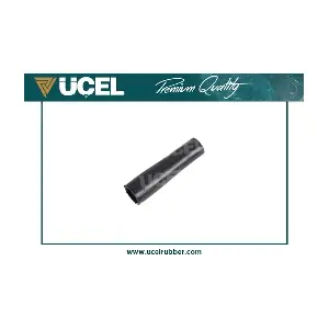65387 UCEL