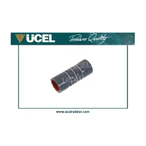 35601 UCEL