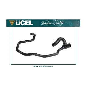 95106 UCEL