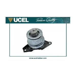 UCEL 61303