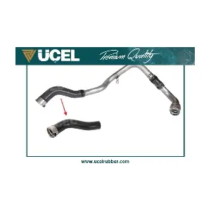 15156 UCEL