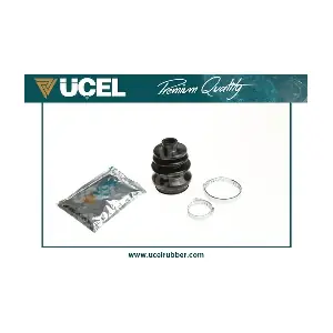 UCEL 91107