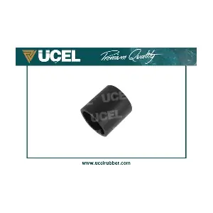 UCEL 65254