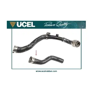 85557 UCEL