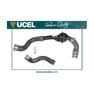 16066 UCEL