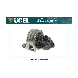 31406 UCEL