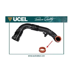 65404 UCEL