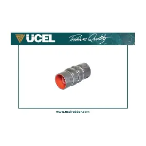 21221 UCEL