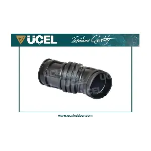95313 UCEL