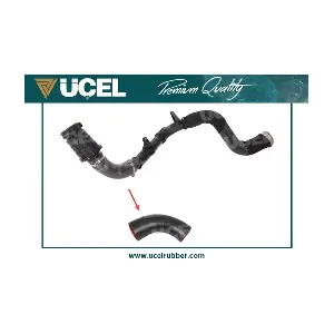 UCEL 16032