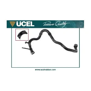 UCEL 15981