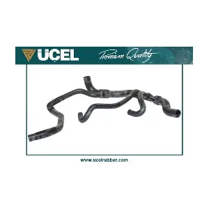 UCEL 15884