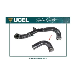 16100 UCEL