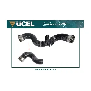 UCEL 16099