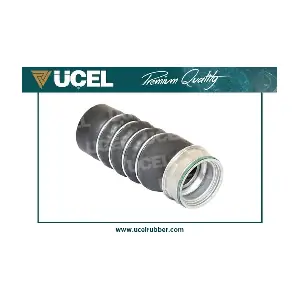 UCEL 65221