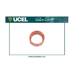 98113 UCEL